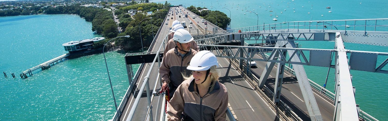 Bridge Climb Auckland Stray NZ