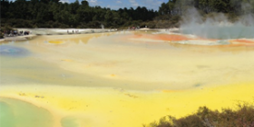 Rotorua - Wai-o-tapu - thumbnail