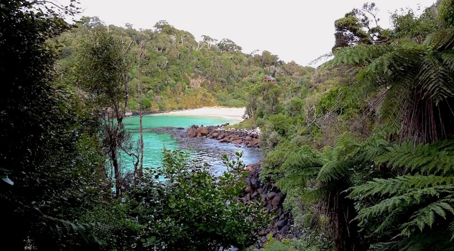 Stewart Island Nz Tours Stewart Island Nz Tours