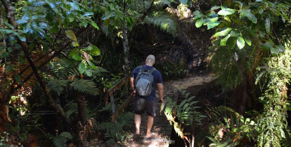 Hiking Abel Tasman Track