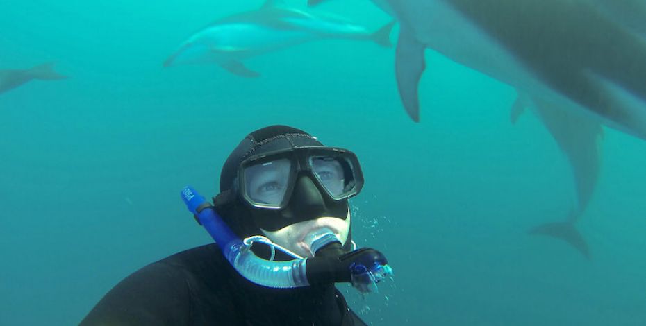 Kaikoura dolphin encounter underwater