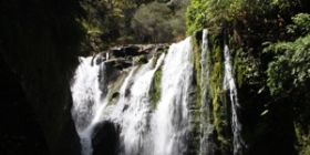 Blue Duck Waterfall Thumb
