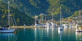 Picton Header Image 2