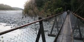 franz josef callery gorge bridge thumb