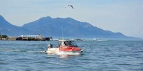 kaikoura fishing charters thumbnail