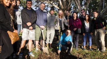 Planting a tree thumbnail