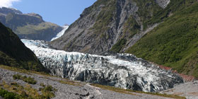 fox glacier thumb