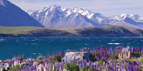 lake tekapo thumb