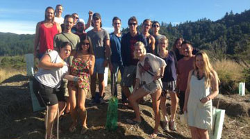 tree planting thumb