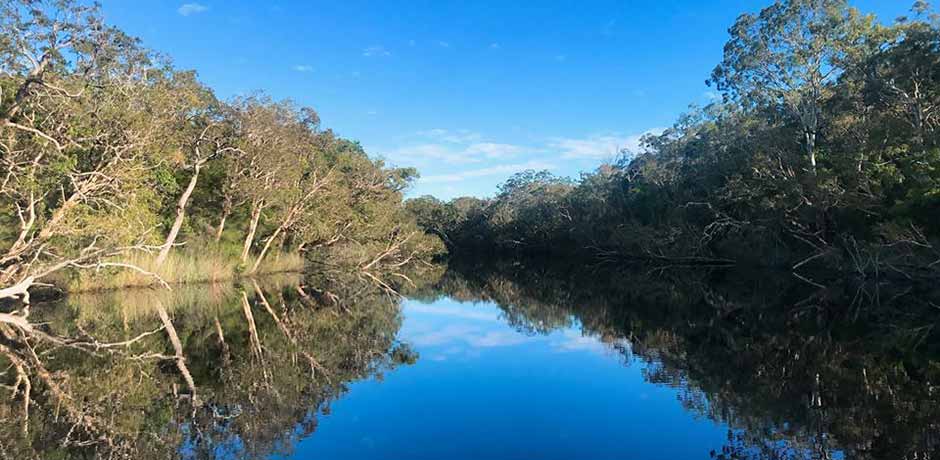 everglades