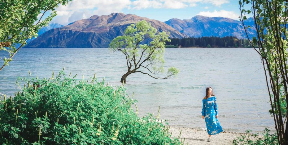 Stray新西兰中文半自助游南岛瓦纳卡湖中孤树