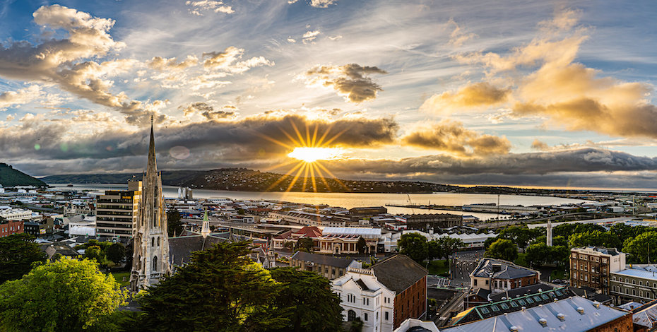 Dunedin City View