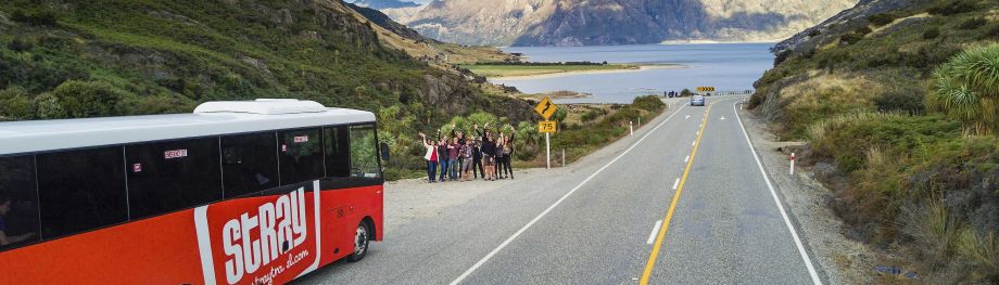 Stray Bus Wanaka