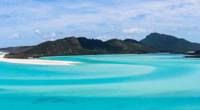 Stray Australia Whitsundays