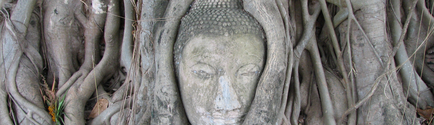 Ayutthaya buddha 2