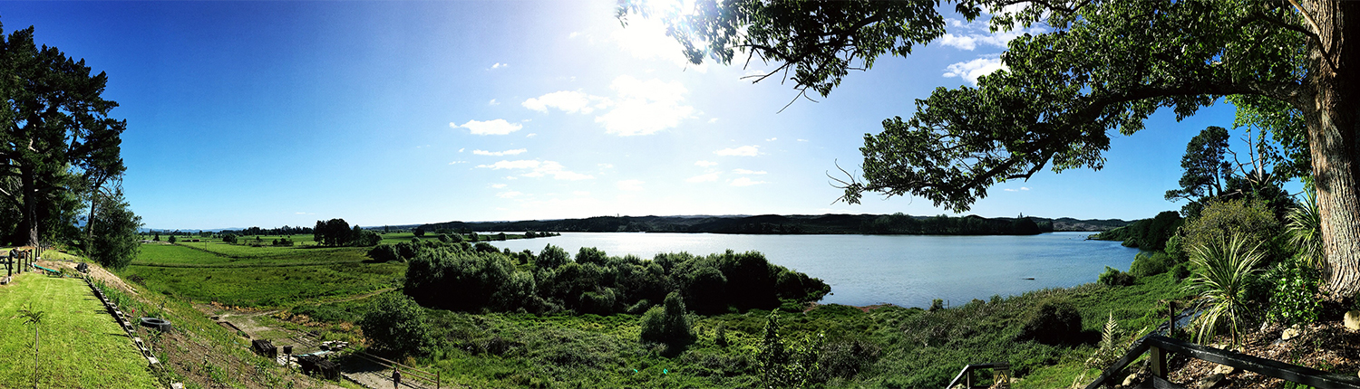 Lake Aniwhenua Stray New Zealand