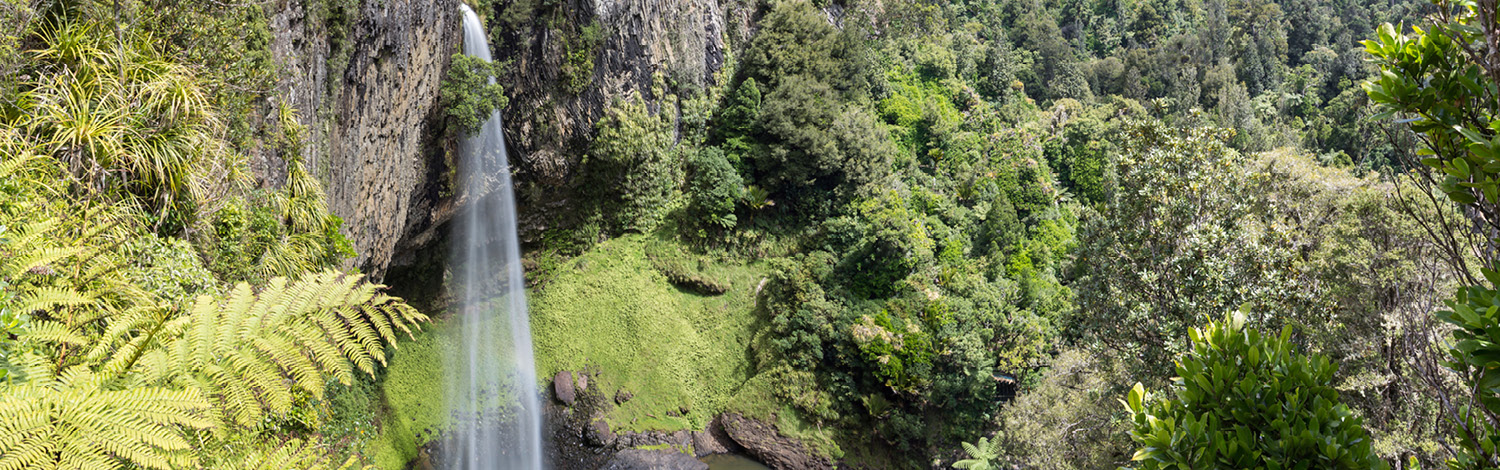 Raglan Bridal Falls Stray NZ