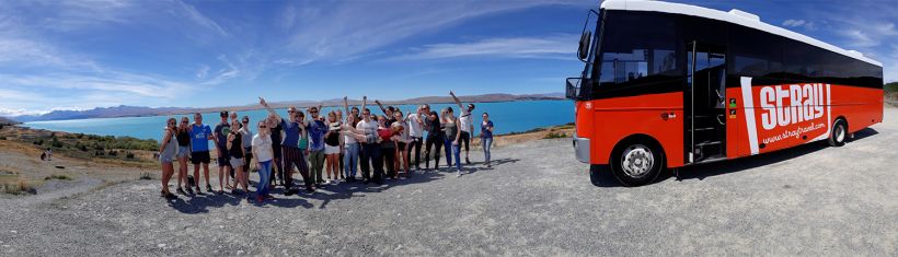 Stray bus tours in the South Island