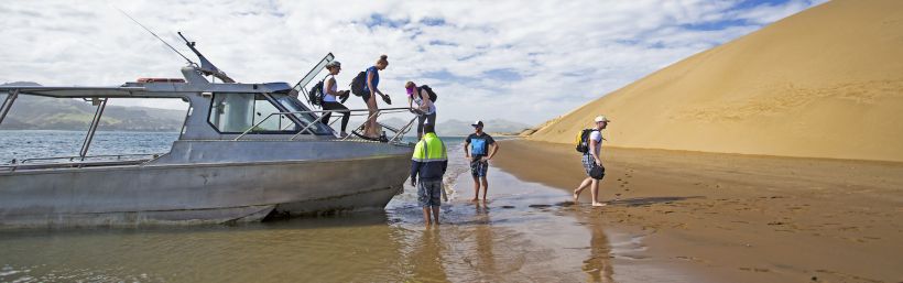 NZ SJ Worsley header