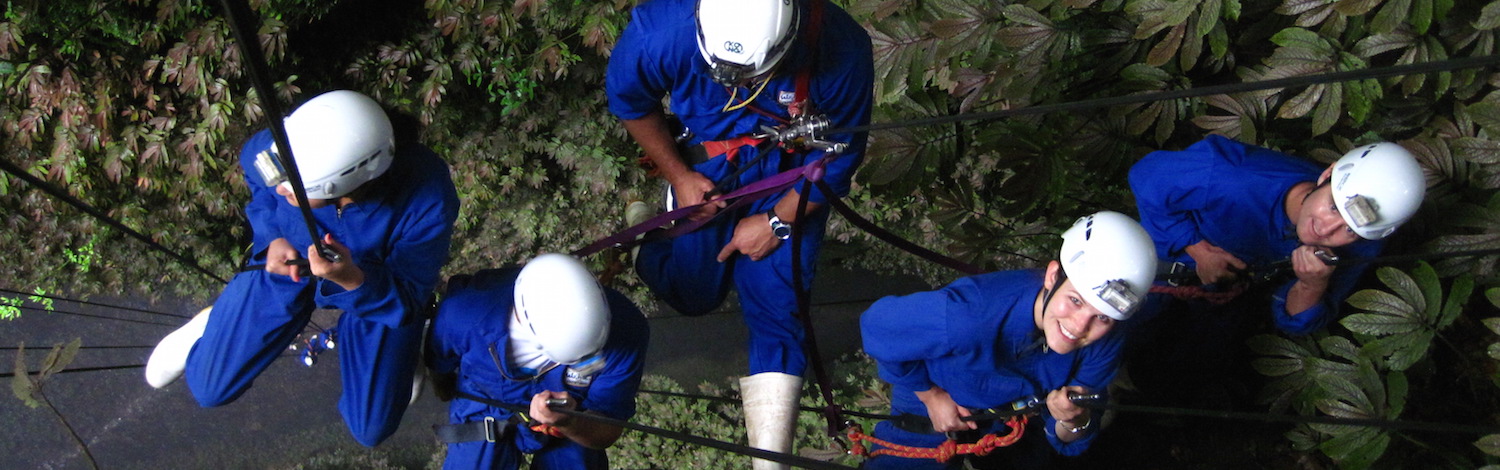 waitomo caves - lost world cave tour