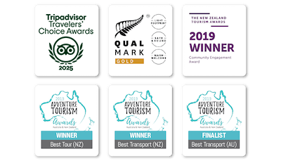 Awards 2025 Stray Travel