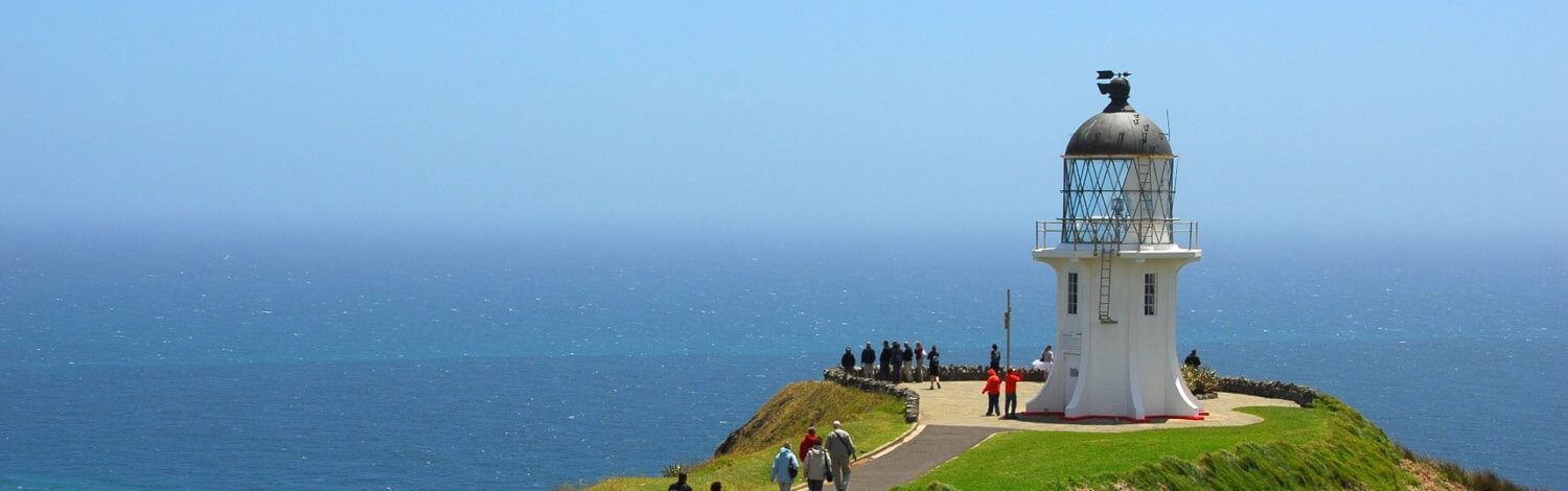 Bay of Island Cape Reinga Tour Stray NZ 