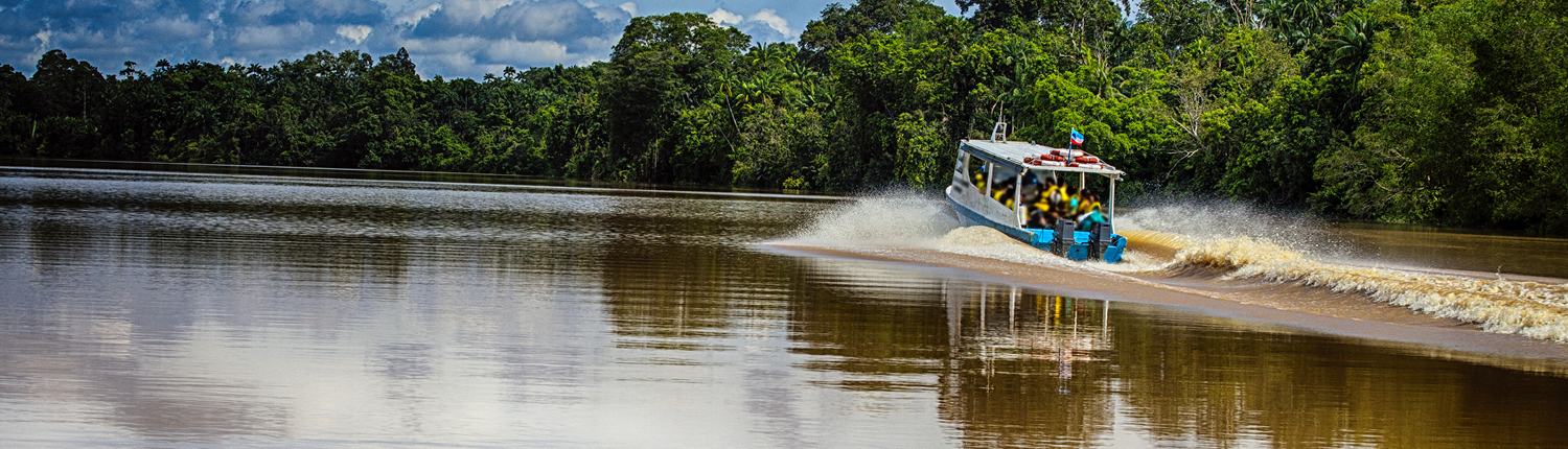 Borneo explorer header