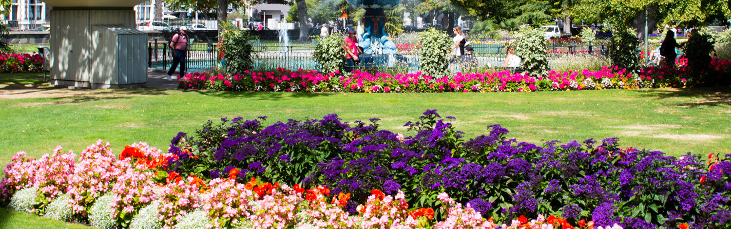 Christchurch Botanic Garden Stray NZ