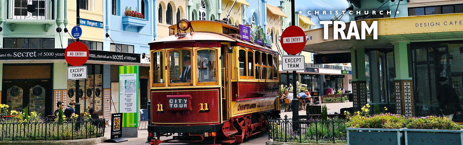 Christchurch Tram Stray NZ