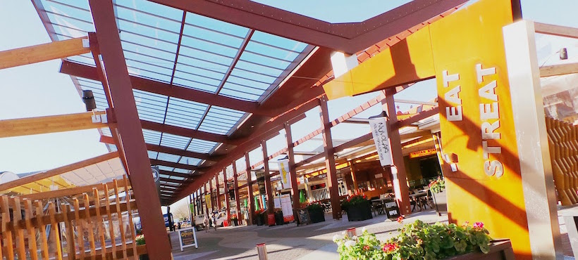 Rotorua Travel Guide - New Zealand Destinations | Stray NZ