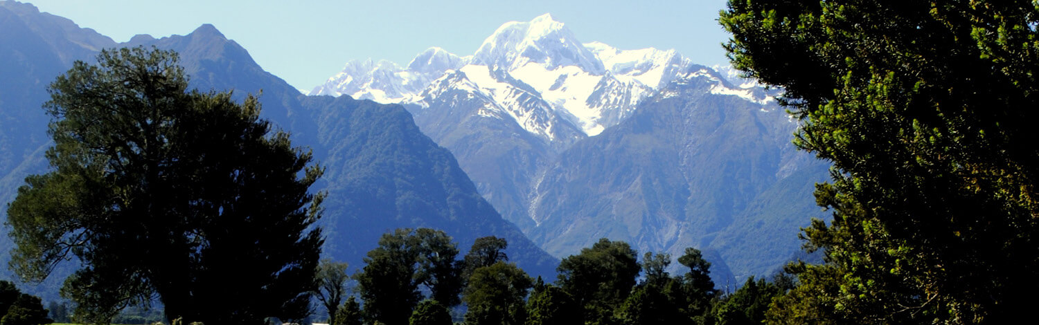 Franz Josef Callery Gorge Walk