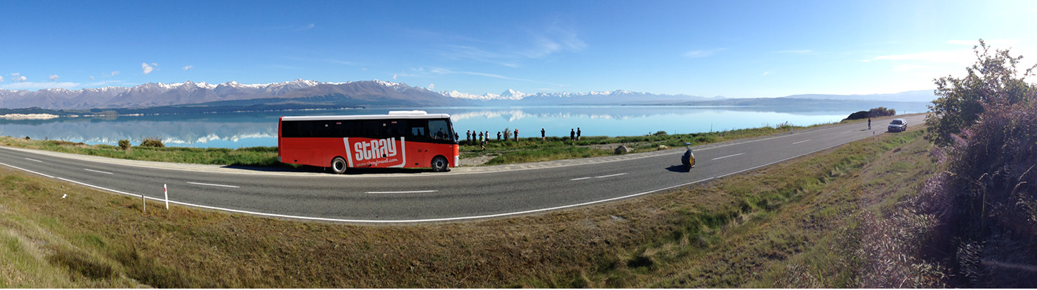 HeaderImage StrayBus
