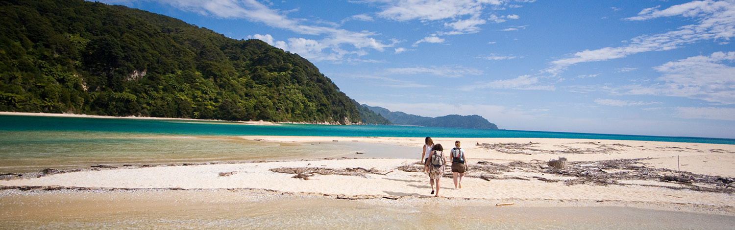 Hiking Abel Tasman Stray NZ