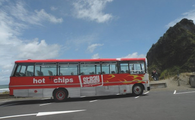 Hot Chips Bus StrayNZ