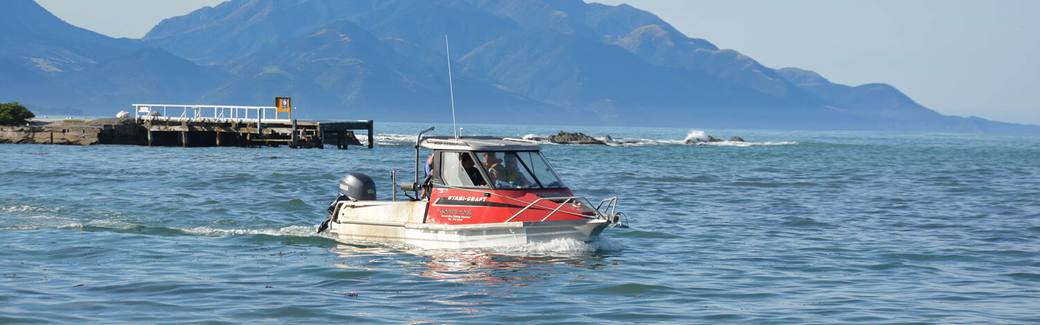 Kaikoura Fishing Bay Charters Stray NZ