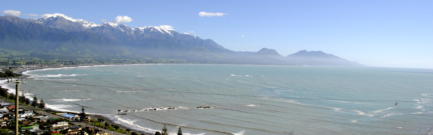 Kaikoura Laikoura Peninsula Walkway Stray NZ