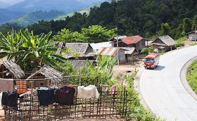 Laos remote village stray asia