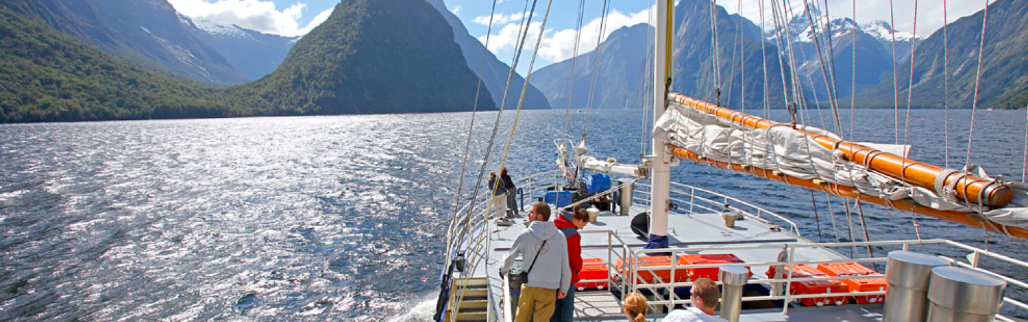 Milford Sound Milfrod Sound Cruise Stray NZ