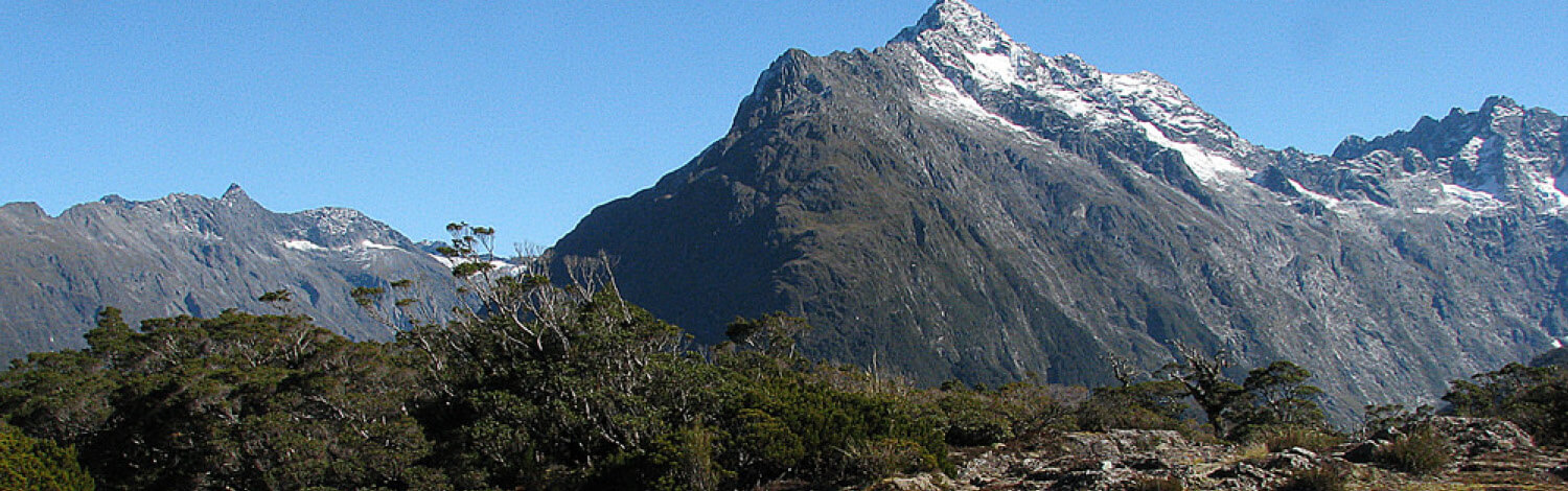 Milford Sounds Key Summit Hike Stray NZ