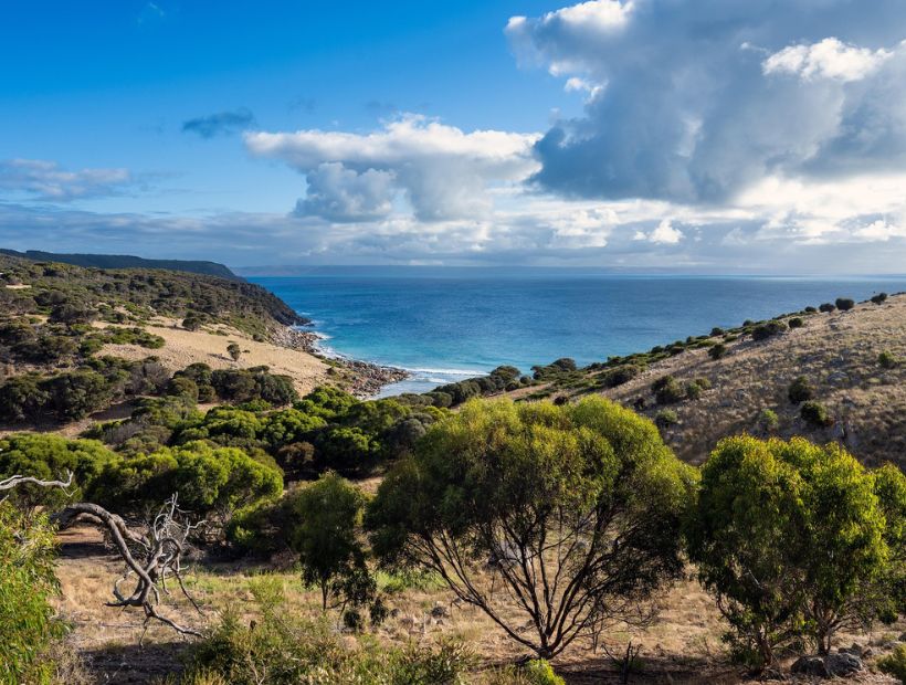 Morton Island Near Brisbane