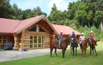 Rangitata - peel forest horse trekking - thumbnail