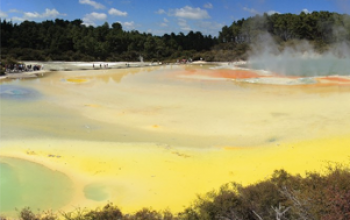 Rotorua - Wai-o-tapu - thumbnail