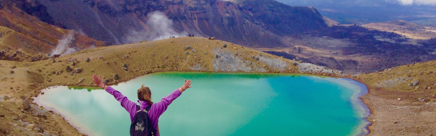 National Park Tama Lakes Stray NZ