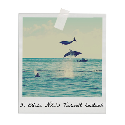 Polaroids75