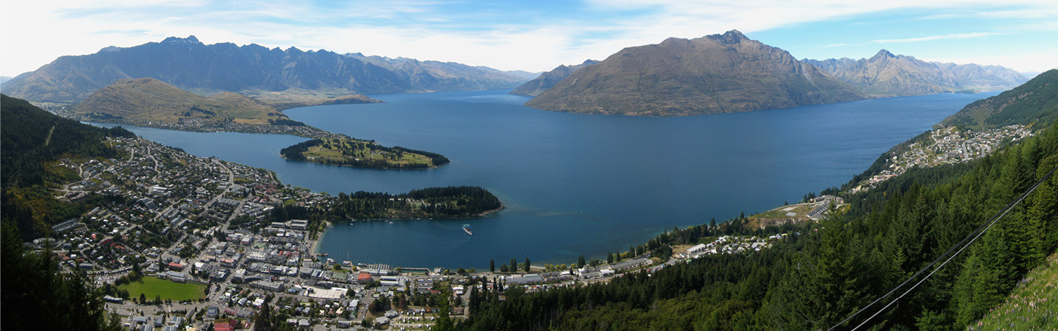 Queenstown Hill Stray NZ