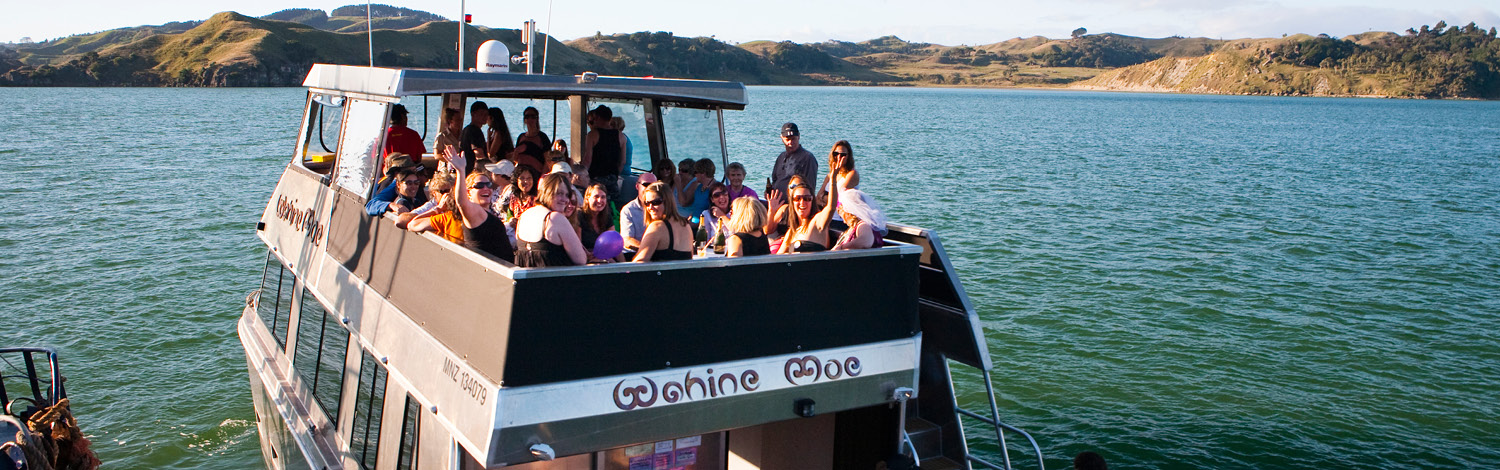 Raglan Sunset Cruise Stray NZ