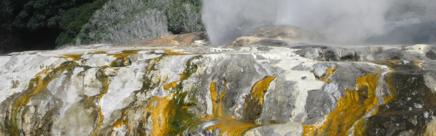 Rotorua Geothermal Park Stray NZ