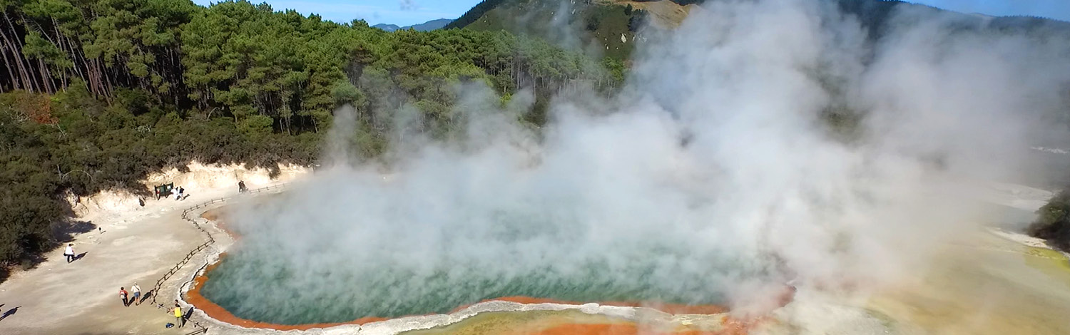 Rotorua Wai O Tapu Stray NZ