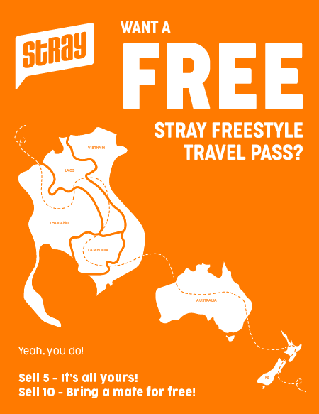 Stray Agent Incentive