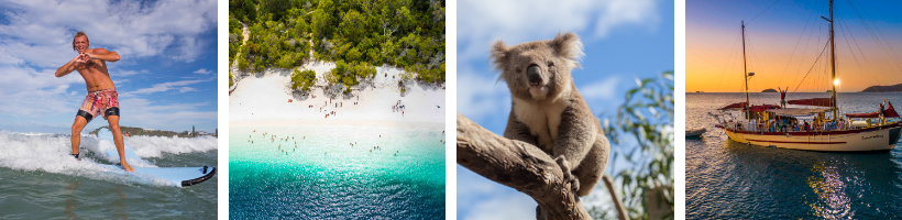 Stray Australia East Coast Highlights